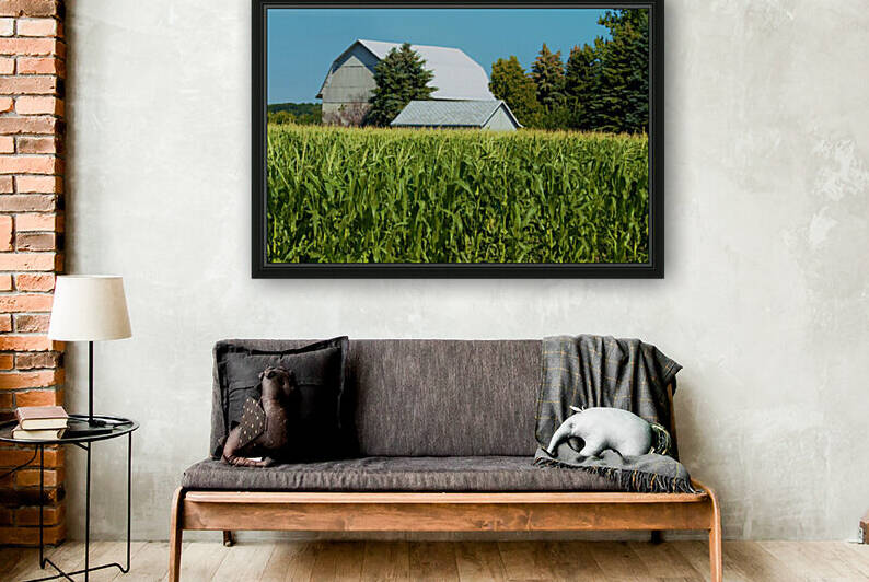 0055   White Corn Field Barn  0055 BAR 080117 1103A  by Sheryl L Sutter