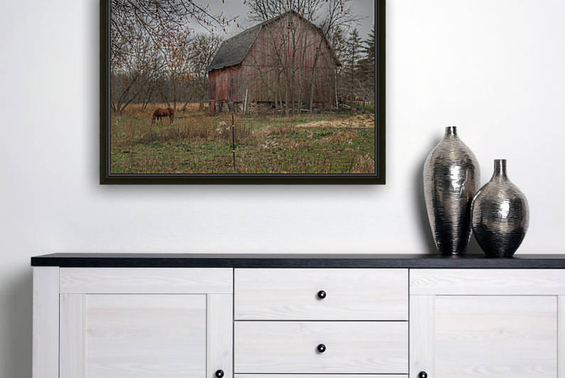 0057   Blair Road Barn and Horse  0057 BAR 120316 1123A  by Sheryl L Sutter