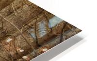 Il Passagio HD Metal print