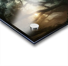 A lush green forest in the early morning mist Acrylic print