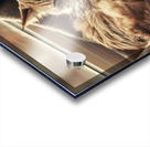 A photo of a cat curled up in a cozy spot basking in the sunlight. Acrylic print