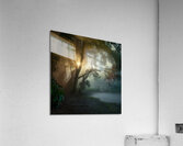 A lush green forest in the early morning mist Acrylic Print