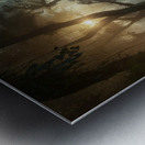 A lush green forest in the early morning mist Metal print