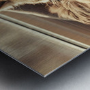 A photo of a cat curled up in a cozy spot basking in the sunlight. Metal print