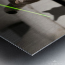 A cat chasing after a laser pointer beam looking utterly confused. Metal print