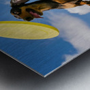 Fetching fun: A Dachshund jumping to catch a frisbee in mid-air. Metal print