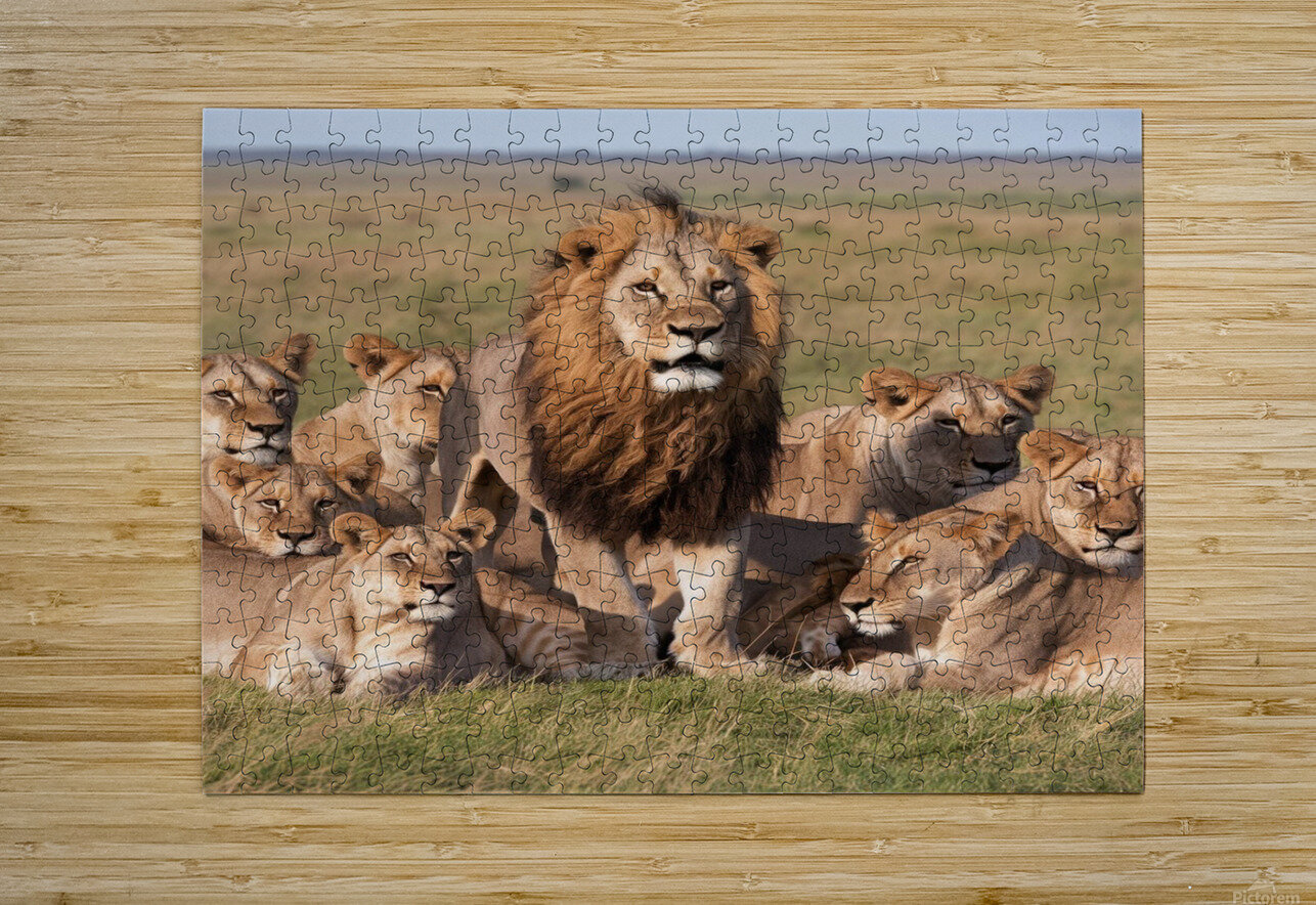 puzzle1_1990640.jpg