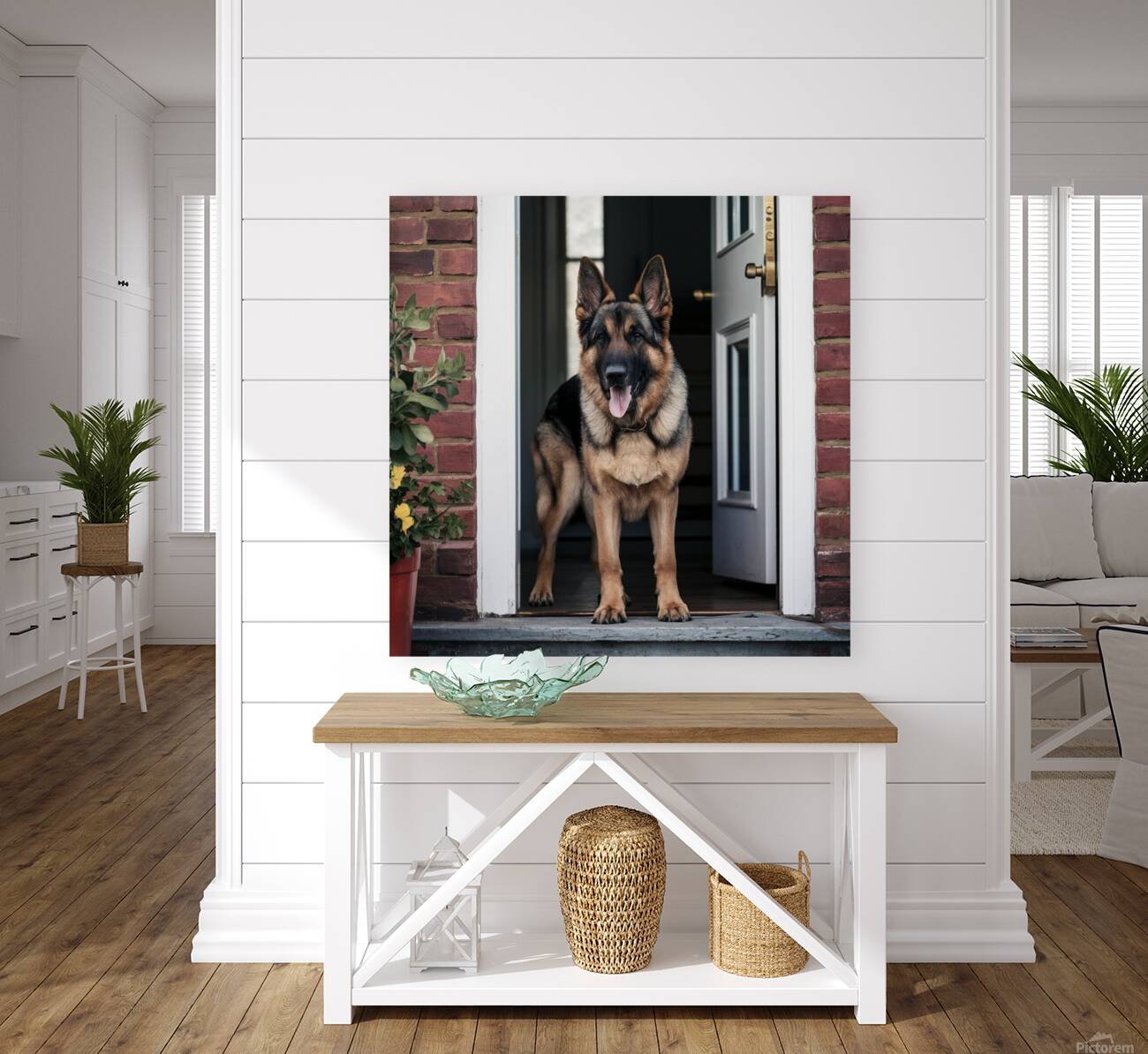 Watchful guard: A German shepherd standing alert at the entrance of a home. Reproduction