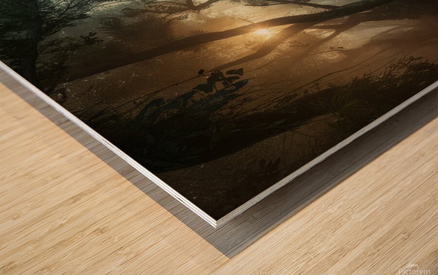 A lush green forest in the early morning mist Wood print