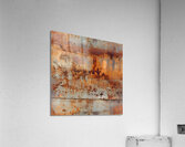 Veins of Rust Heart of Reflection Acrylic Print