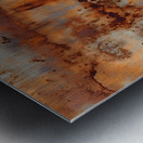 Veins of Rust Heart of Reflection Metal print