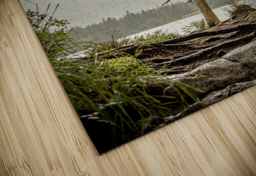 tree 7881297 Wiggly Canvas puzzle