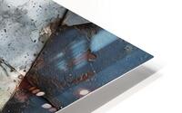 The Rusted Muse HD Metal print