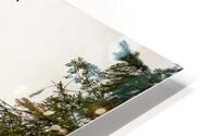 tree 7881297 HD Metal print