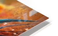 Cuisine Artwork | Visual Sketches HD Metal print