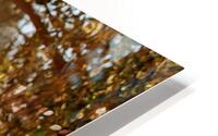 Limite  HD Metal print