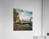 Kitimat tree  Acrylic Print