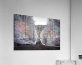 Winter Road Acrylic Print