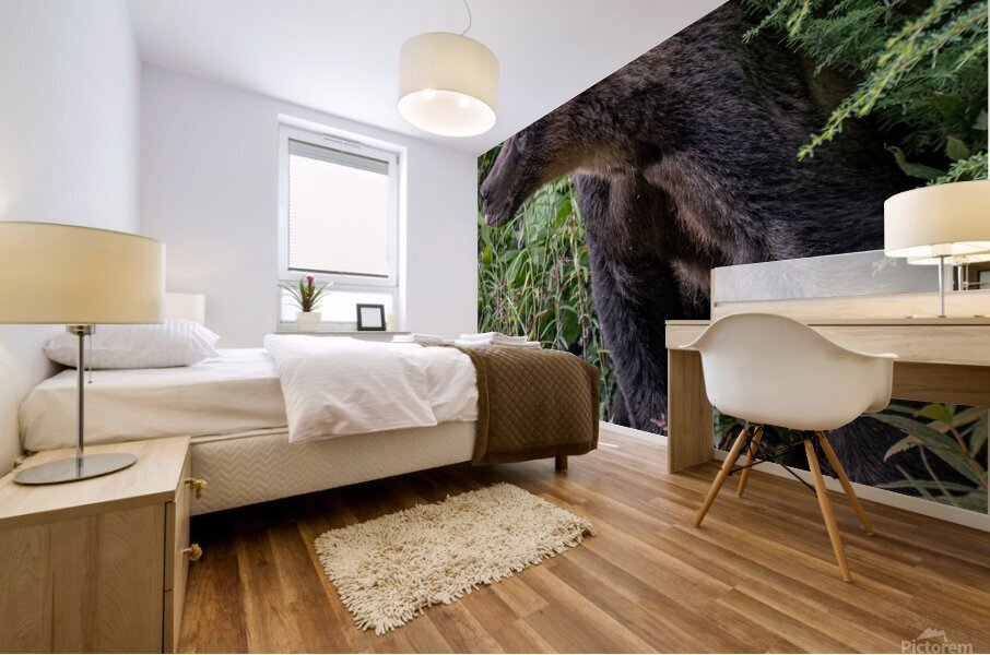 Grizzly cub Mural print