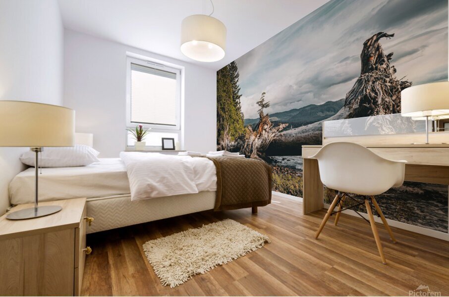 Kitimat tree  Mural print