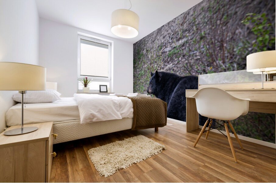 Black Bear walking away  Mural print