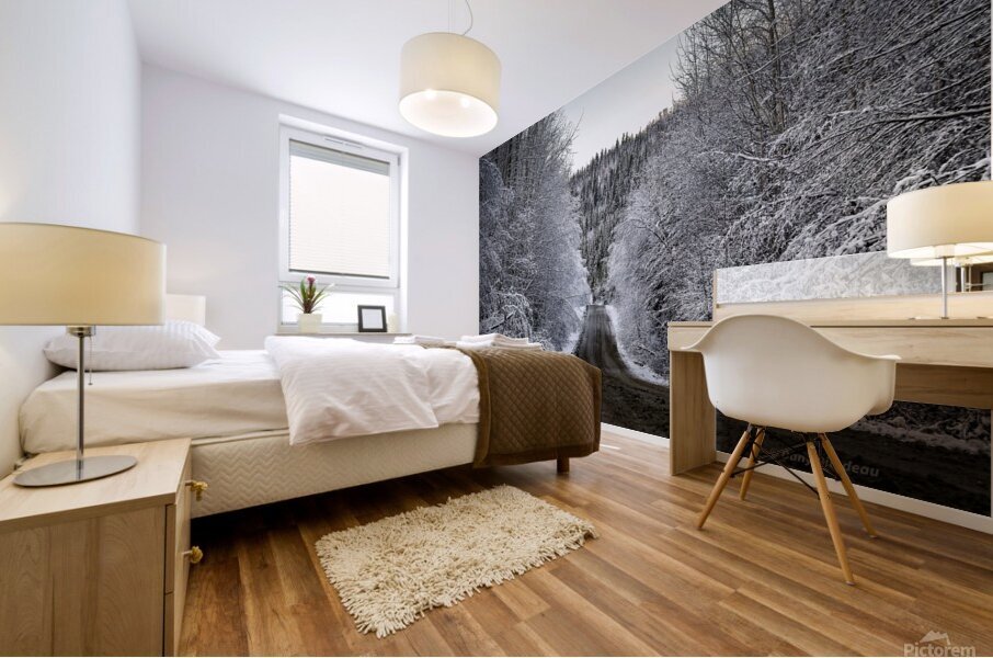 Winter Road Mural print