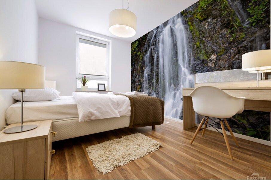 Hidden Waterfall Mural print