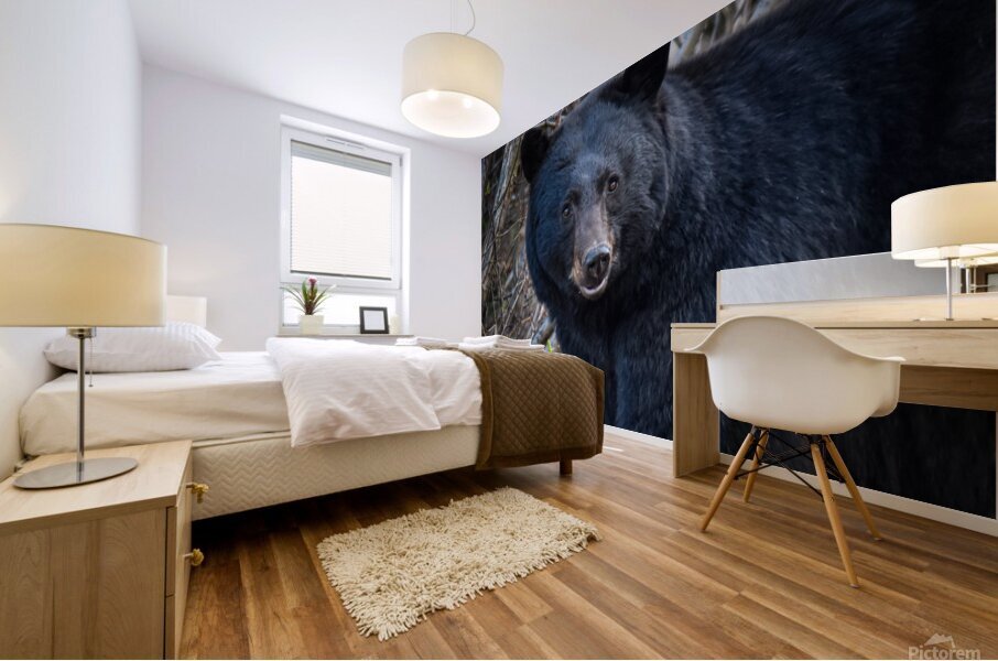 Black Bear 2 Mural print