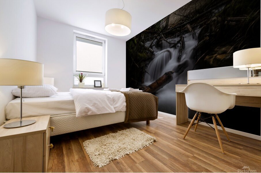 Moody waterfall Mural print