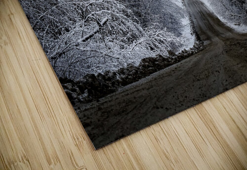 Winter Road Danybilodeau puzzle