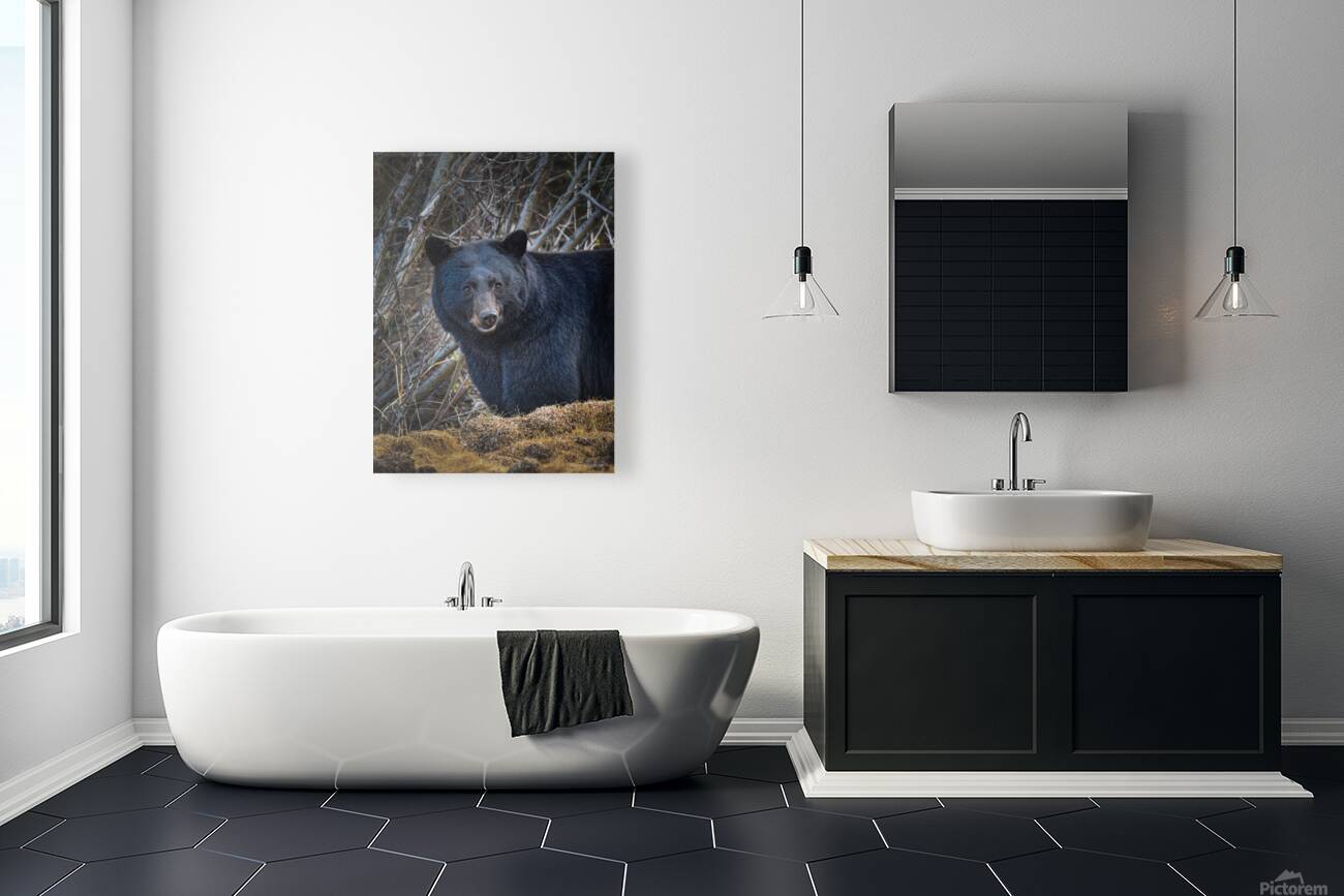 Black Bear 2 Reproduction