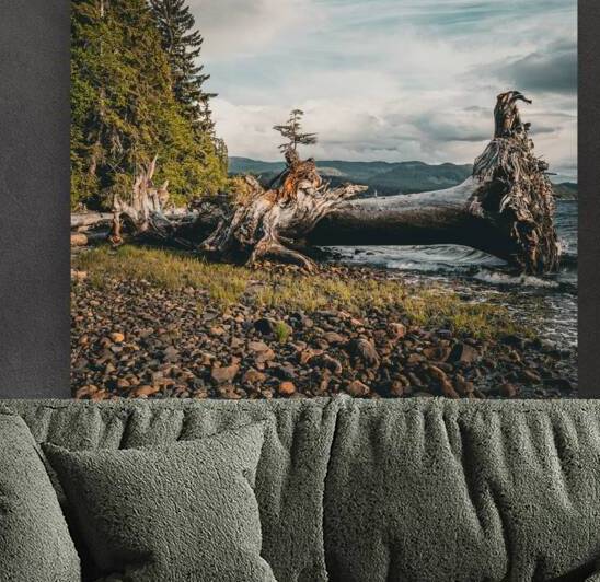 Kitimat tree  by Danybilodeau