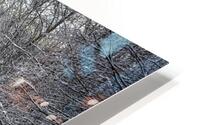 Winter Road HD Metal print