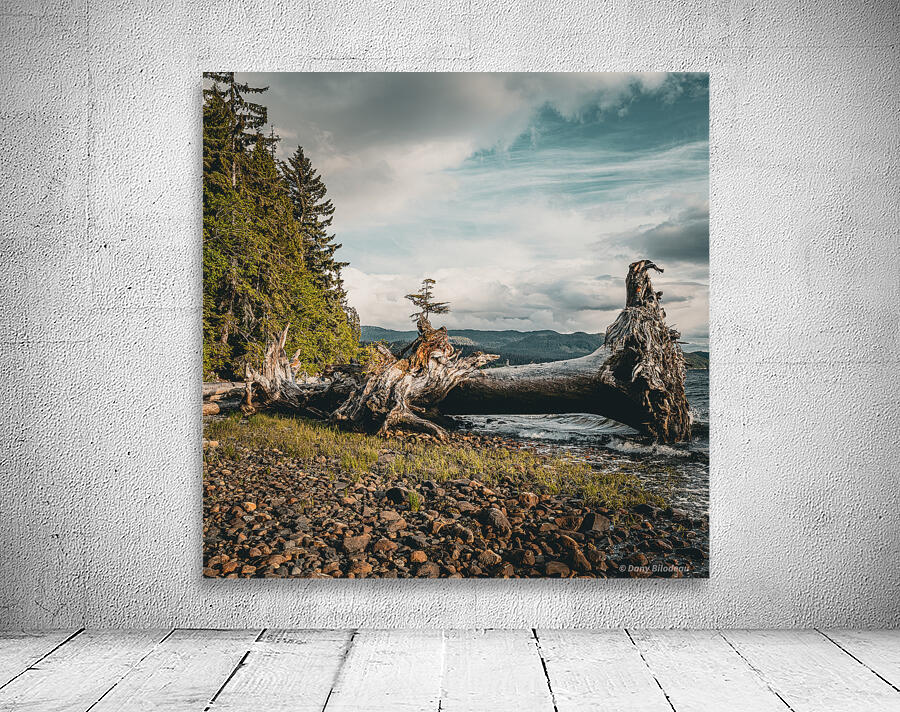 Kitimat tree  Wall Preview