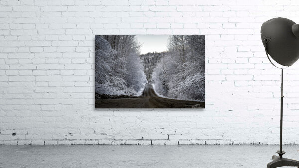Winter Road Wall Preview