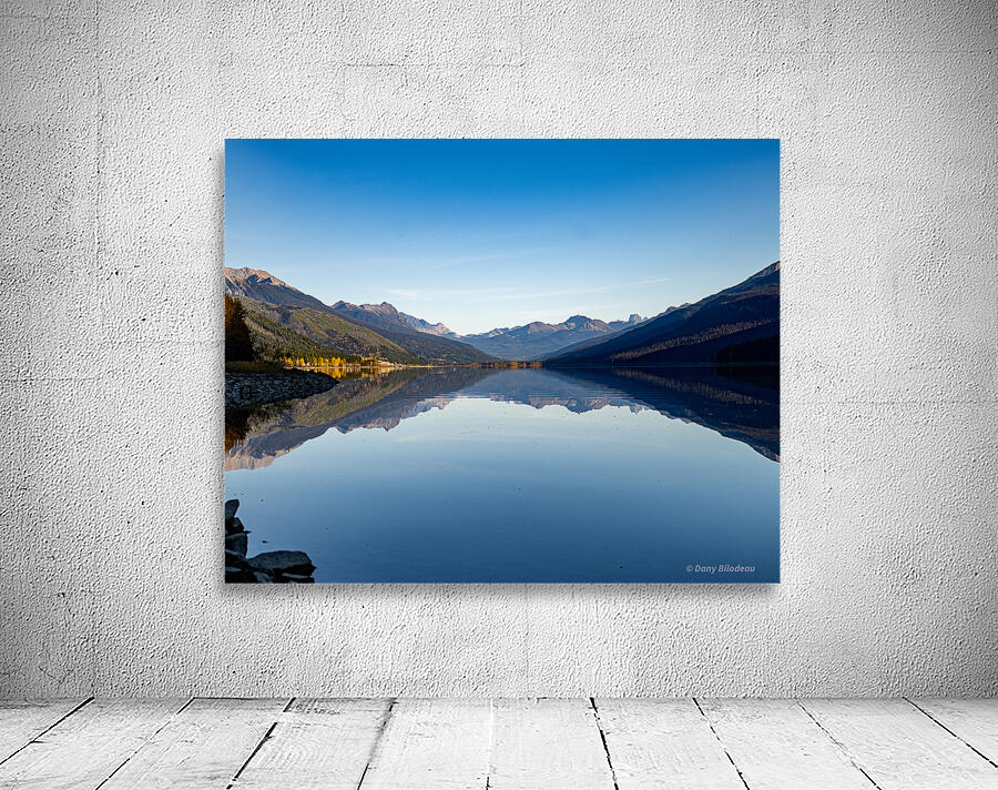 Moose lake refelection Wall Preview
