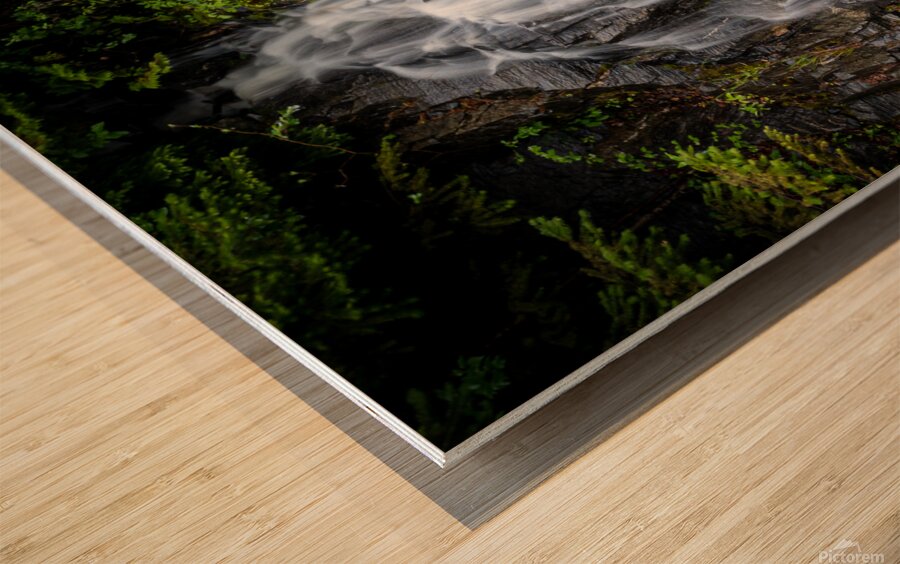 Hidden Waterfall Wood print