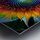Sunflower Metal print