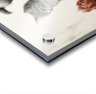 Vintage Kitten and Puppy Friends Forever Acrylic print