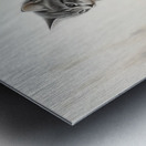 Vintage Kitten and Puppy Friends Forever Metal print