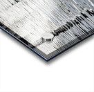 Quick Silver Acrylic print