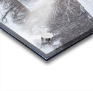 Winter Peace Acrylic print