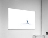 Cormorant VII Acrylic Print