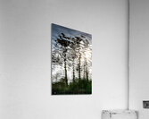 Midnight Sun Acrylic Print