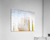 Safe Harbor Acrylic Print