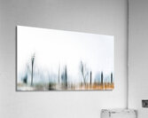 December Soliloquy Acrylic Print