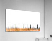 Fence Line Acrylic Print