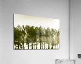 Steadfast Acrylic Print