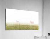 Down on the Farm Acrylic Print
