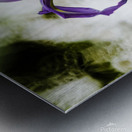 Purple Iris Metal print